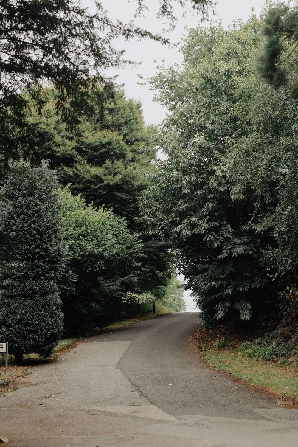 Tree-lined pathway curves through a lush green park setting.