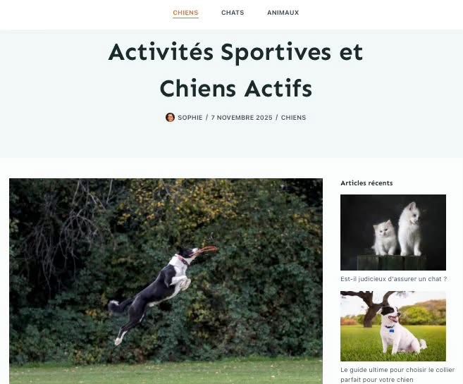 Dogs playing and running together in a grassy field during outdoor sports and activities.
