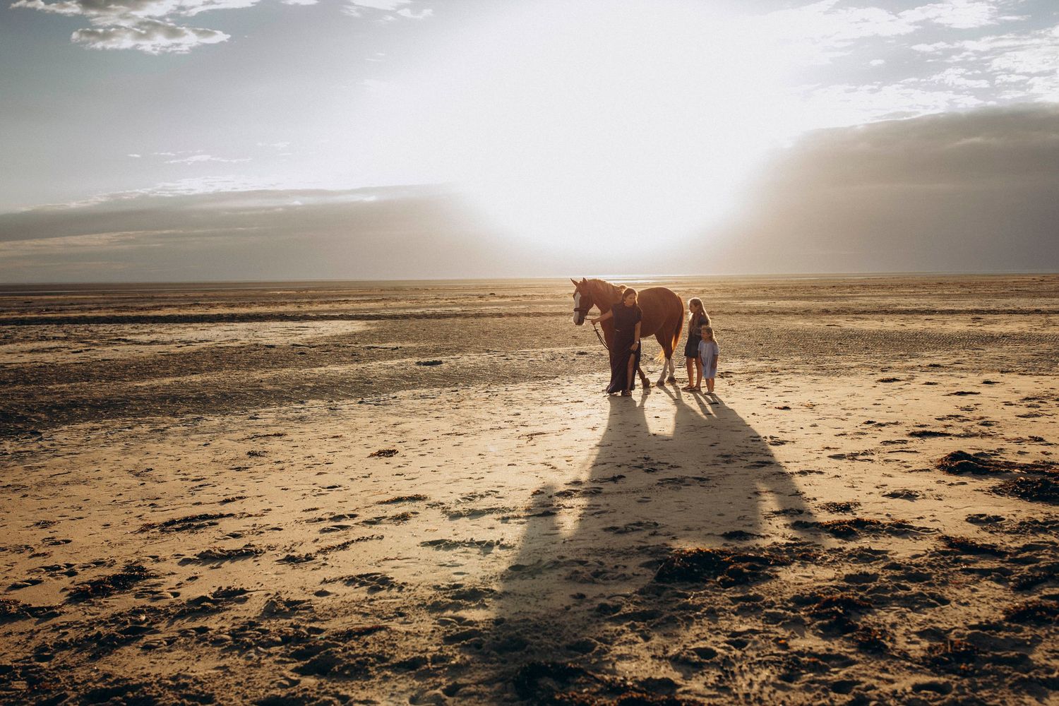 Silhouettes of horses walking along a beach at sunset with long shadows cast on the sand.