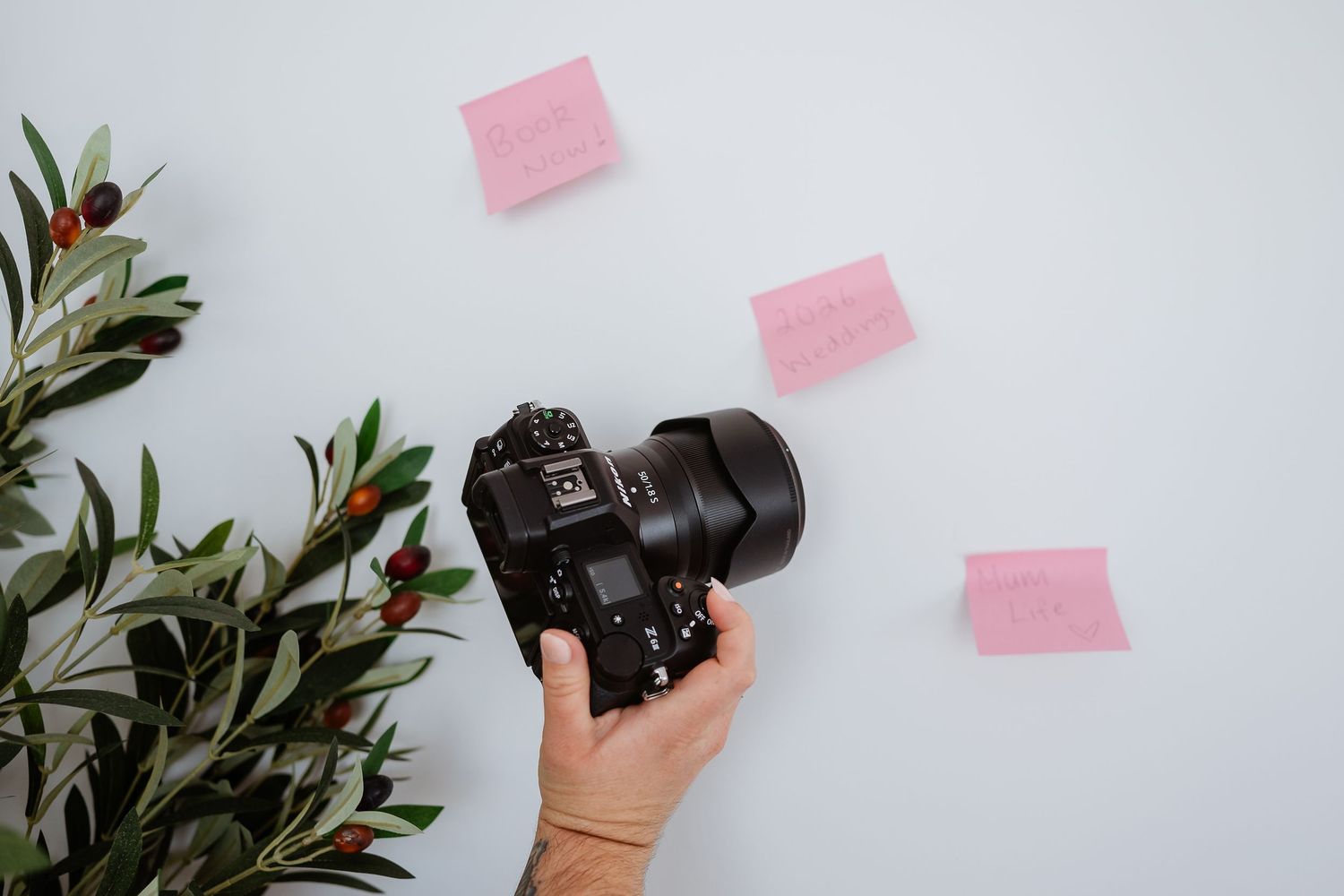 Hand holding a camera against white wall with pink sticky notes and green plant leaves in the frame.