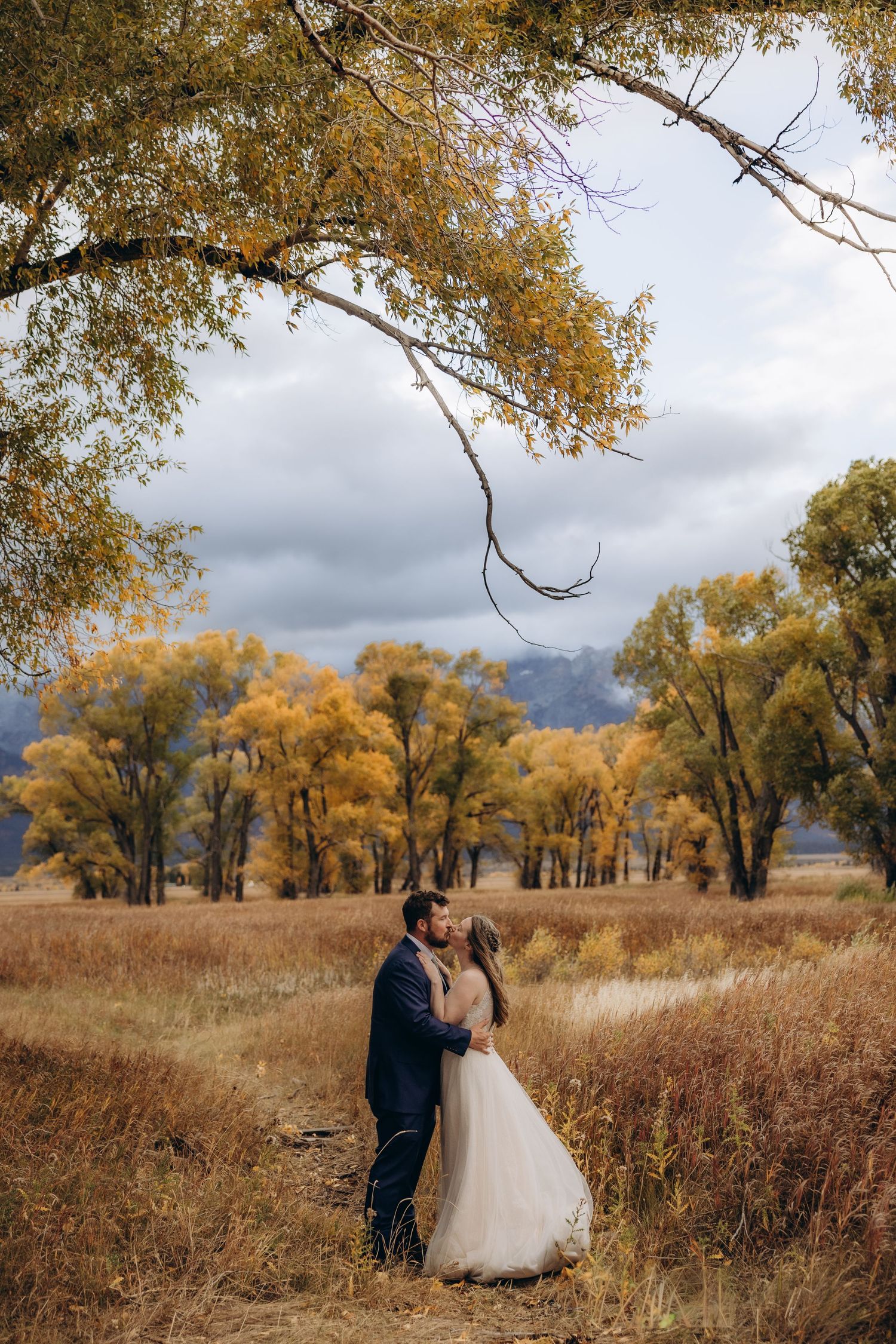 Romantic autumn wedding scene in a golden meadow with tall grasses and cottonwood trees under stormy skies.