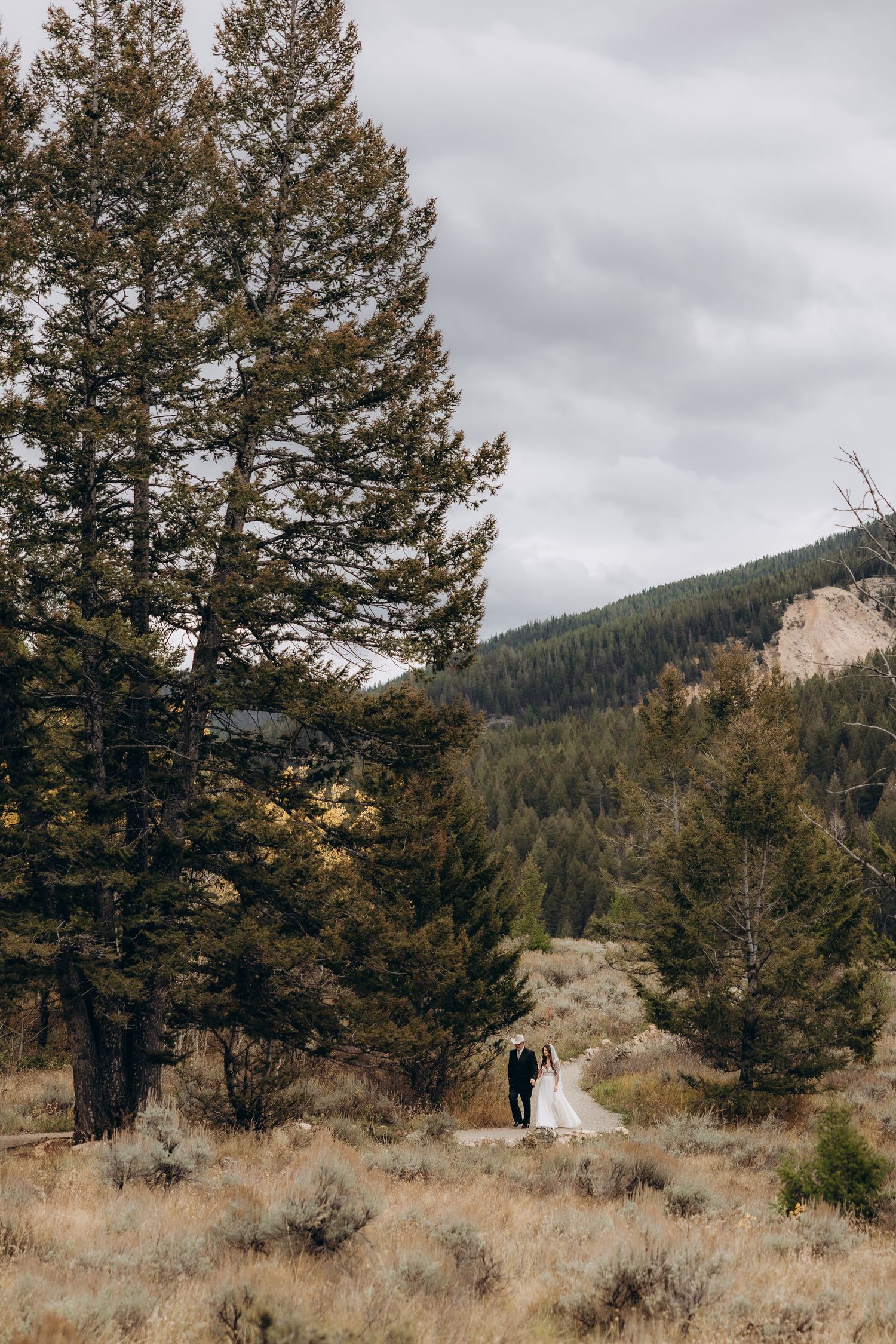 Mountain landscape with pine trees and rugged terrain under cloudy skies in a remote wilderness setting.