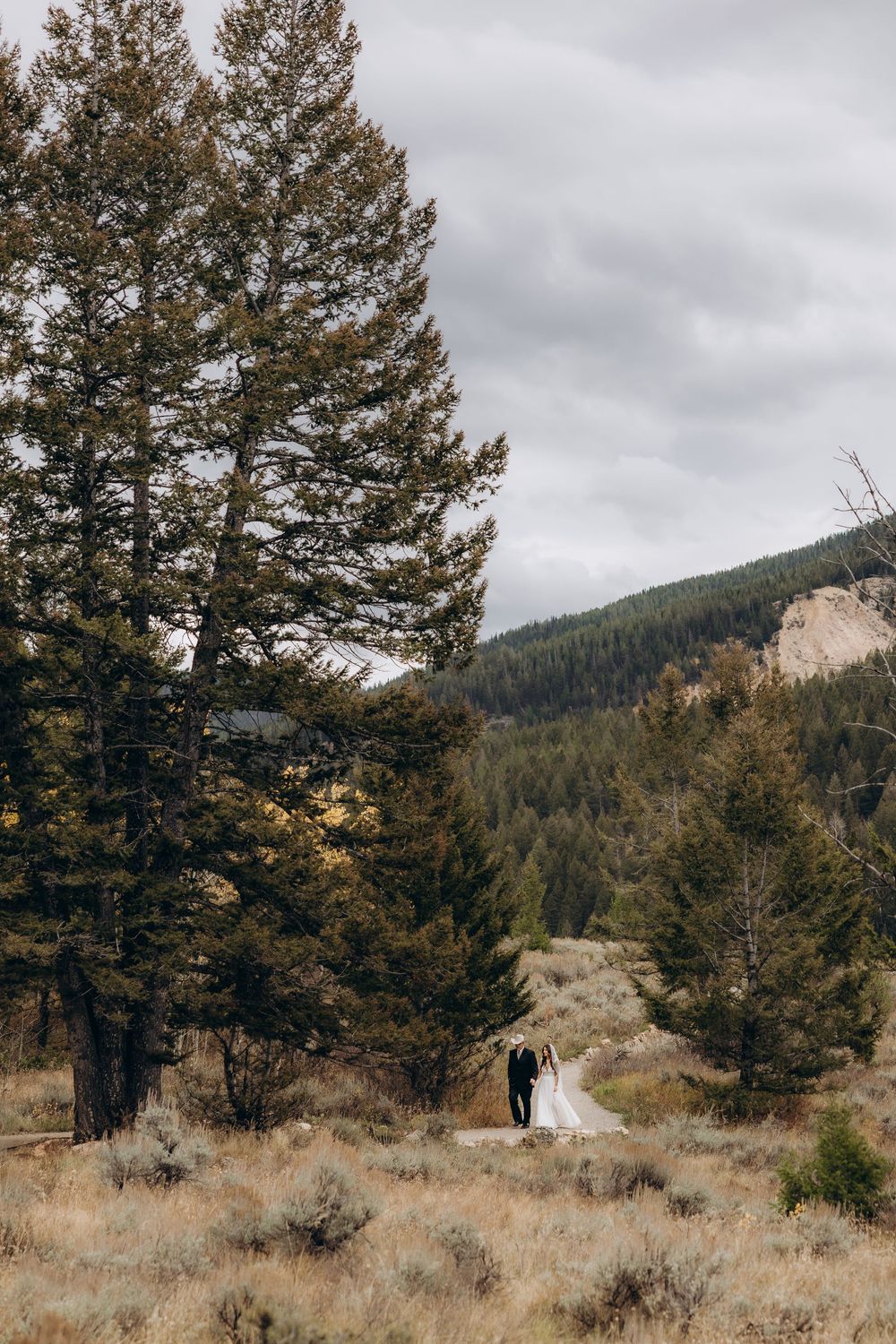 Mountain landscape with pine trees and rugged terrain under cloudy skies in a remote wilderness setting.
