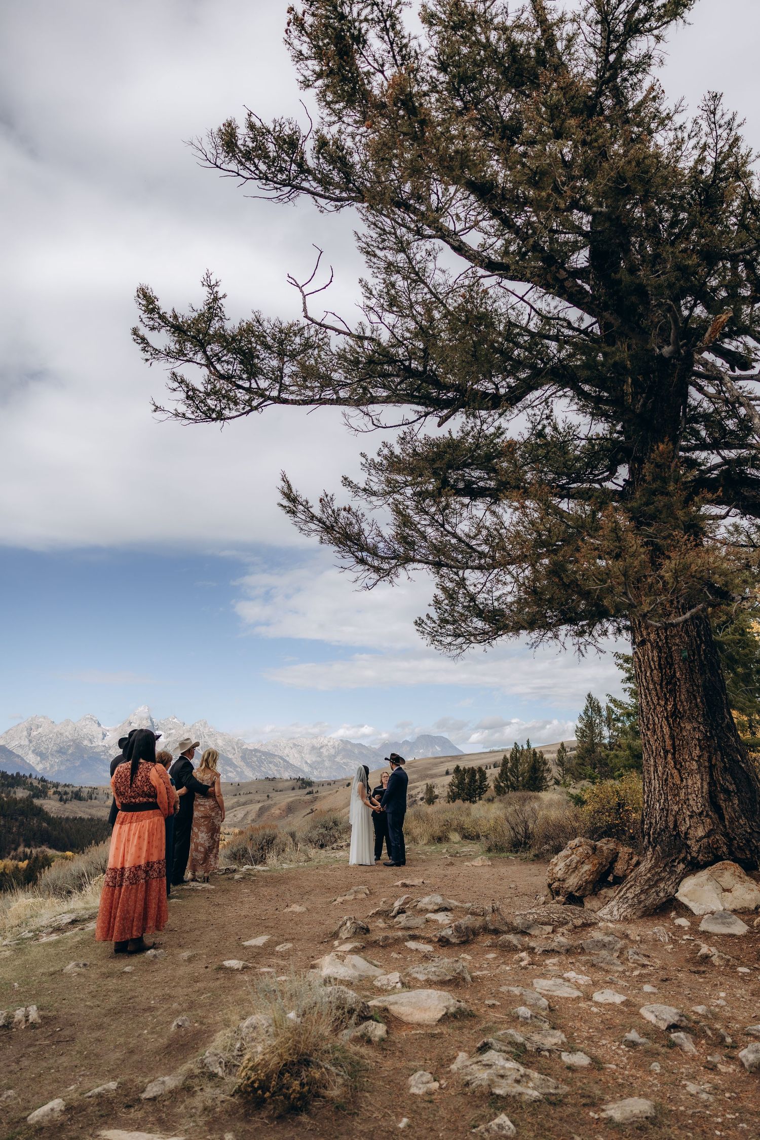 Rocky mountain overlook with gnarled pine trees framing a distant mountain range under cloudy skies.