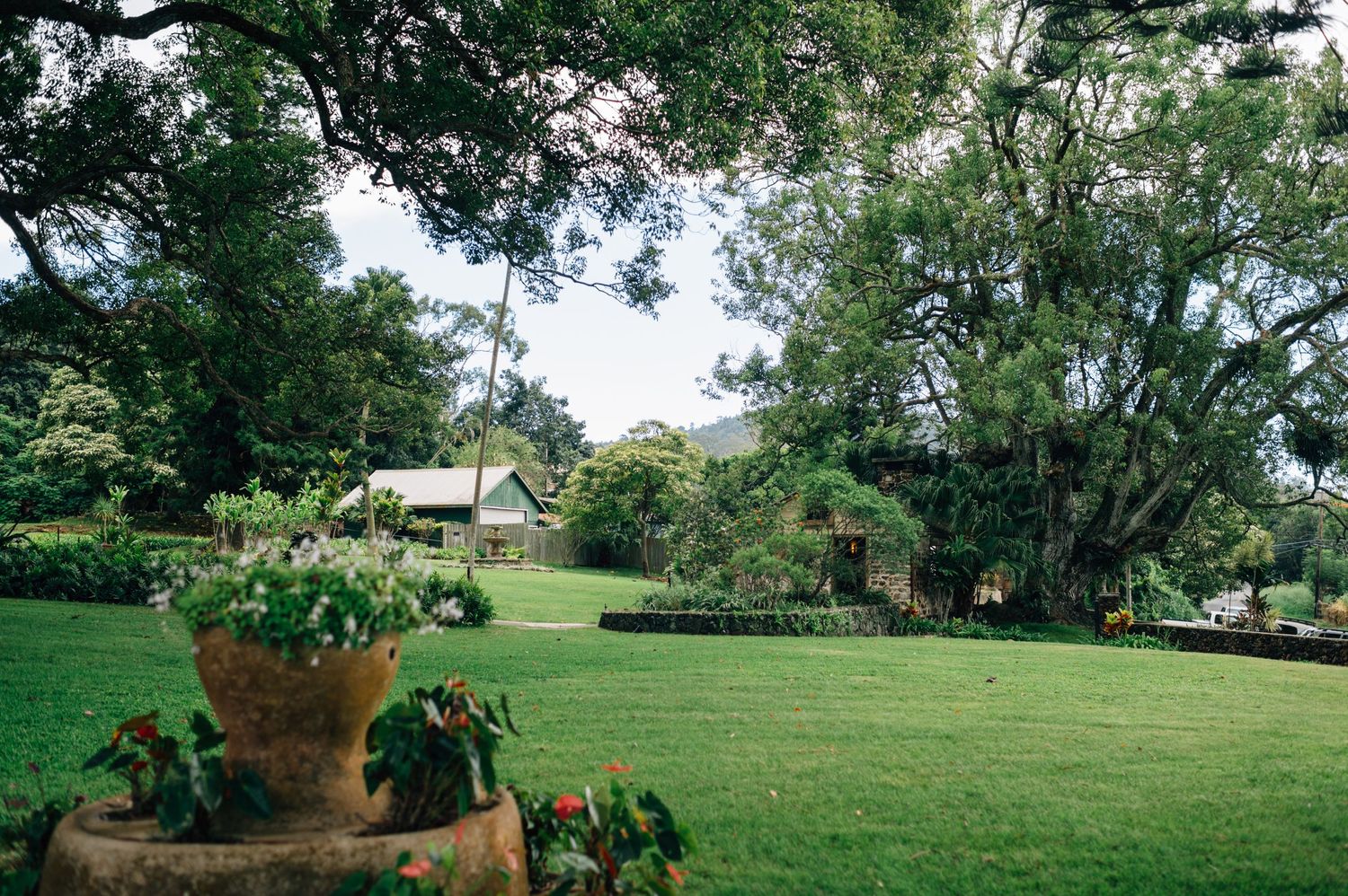 Panoramic view of a lush green garden landscape with mature trees.