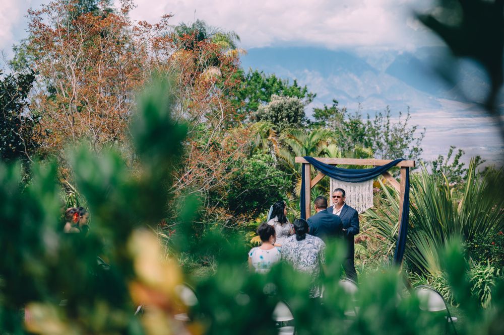 Scenic garden wedding venue with palm trees and natural landscaping.