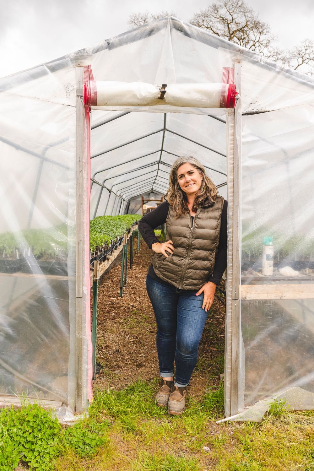 Greenhouse with clear plastic covering and metal frame structure growing leafy greens.