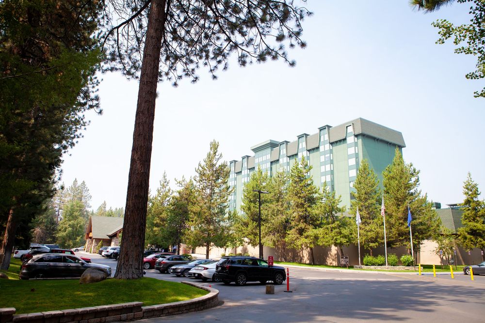 A row of modern apartment buildings line a curved street surrounded by tall pine trees.