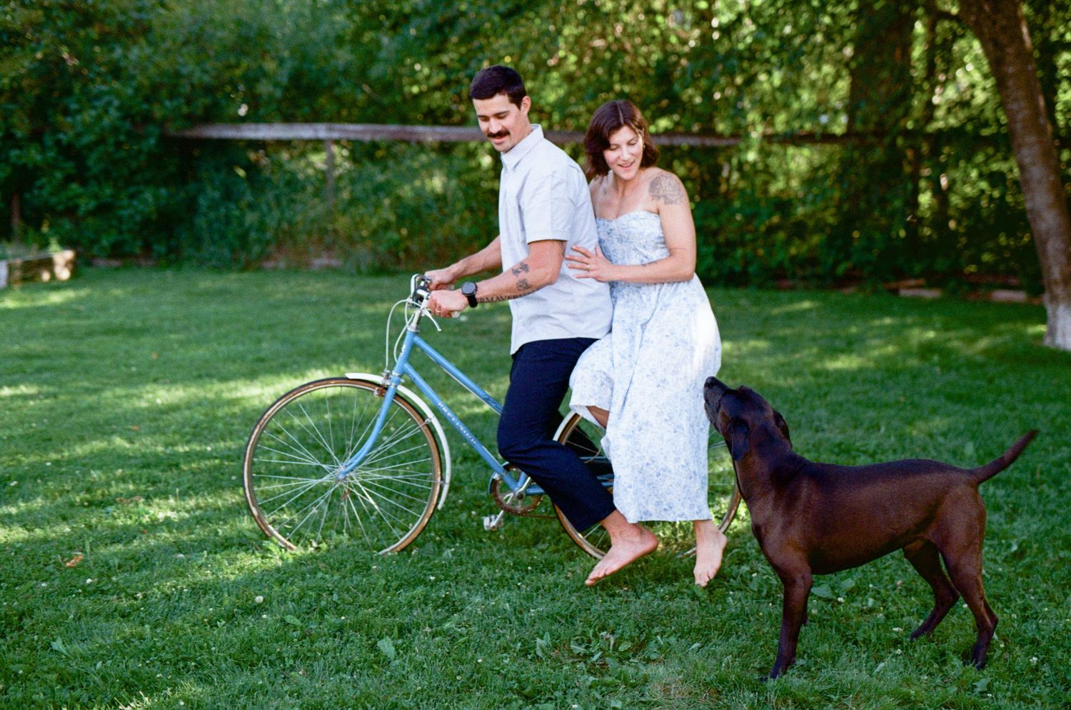 man and woman ride a vintage bicycle in the grass while their brown chocolate lab barks at them