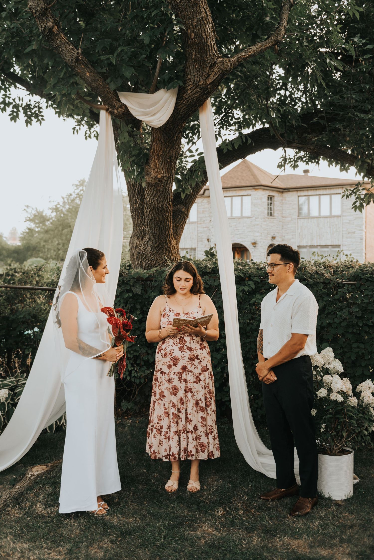 A series of outdoor wedding photos showing a couple and guests under a tree decorated with flowing white fabric.