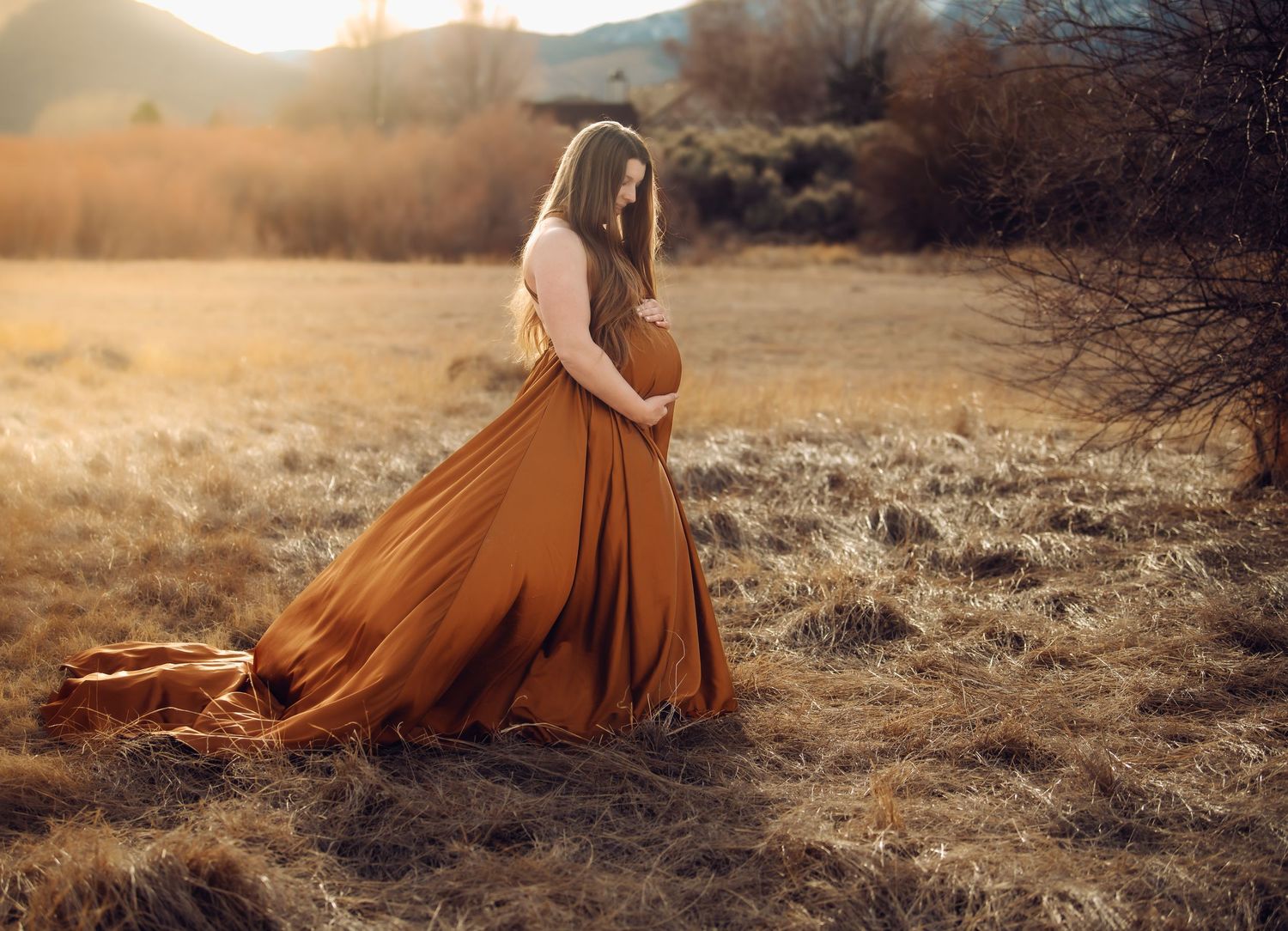 A series of dreamy portraits showing a long rust-colored dress flowing in a sun-drenched autumn field.