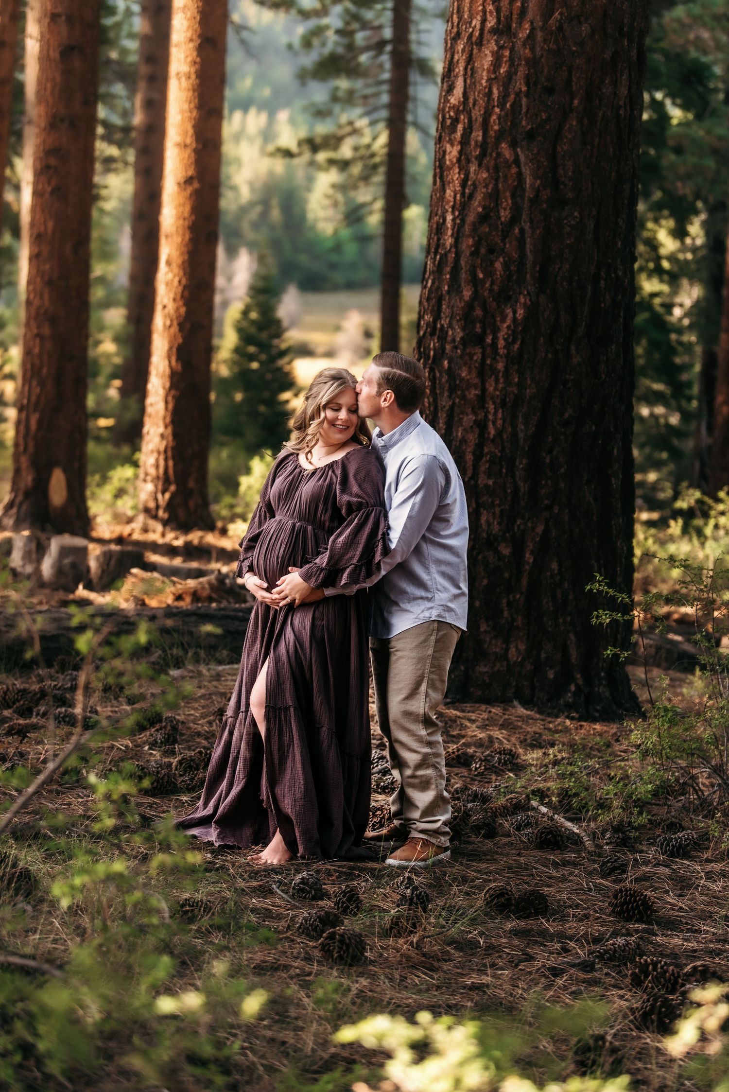 A couple shares an intimate moment in a sunlit forest setting among tall pine trees during a maternity photo session.