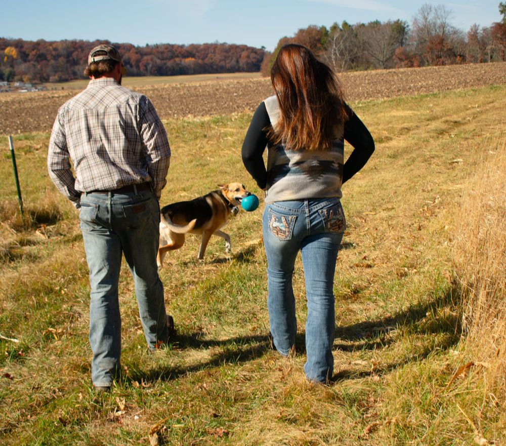 Boyfriend and girlfriend walking away with their dog looking back at them from in front.