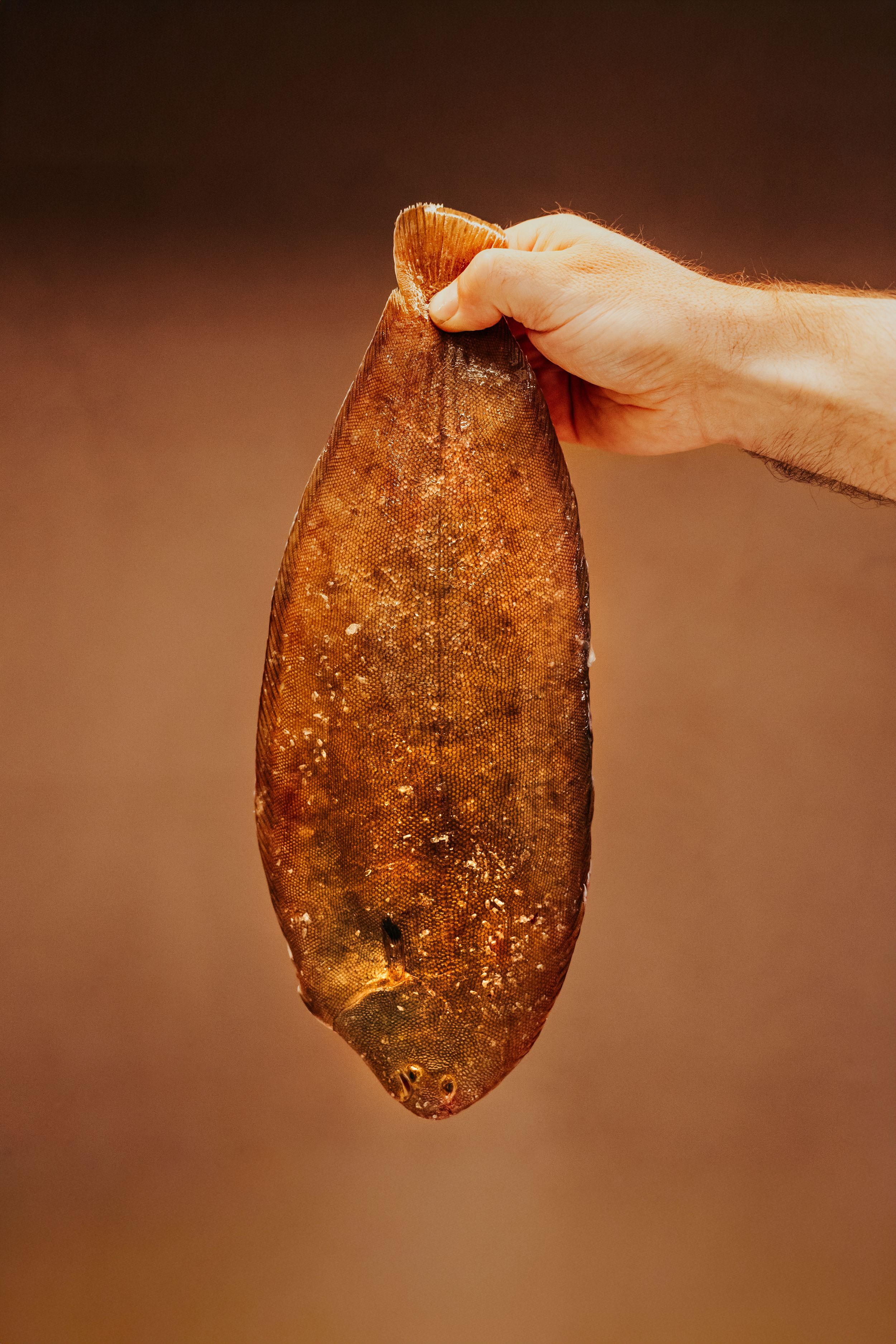 Close-up sequence of a hand holding a thin, crispy caramelized sugar disk against a dark background.