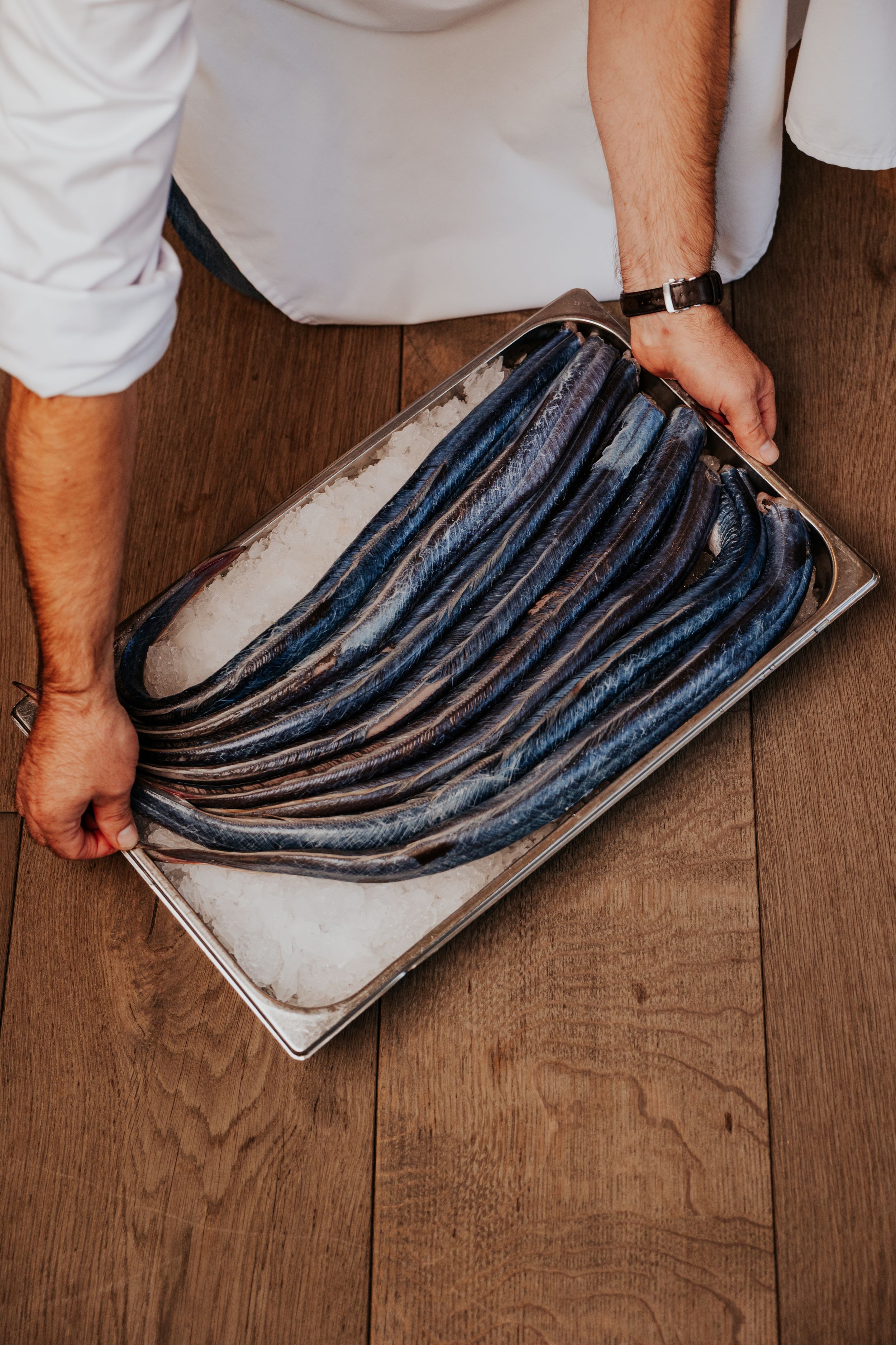 Fresh blue mackerel fillets arranged on a white serving platter on wooden surface.
