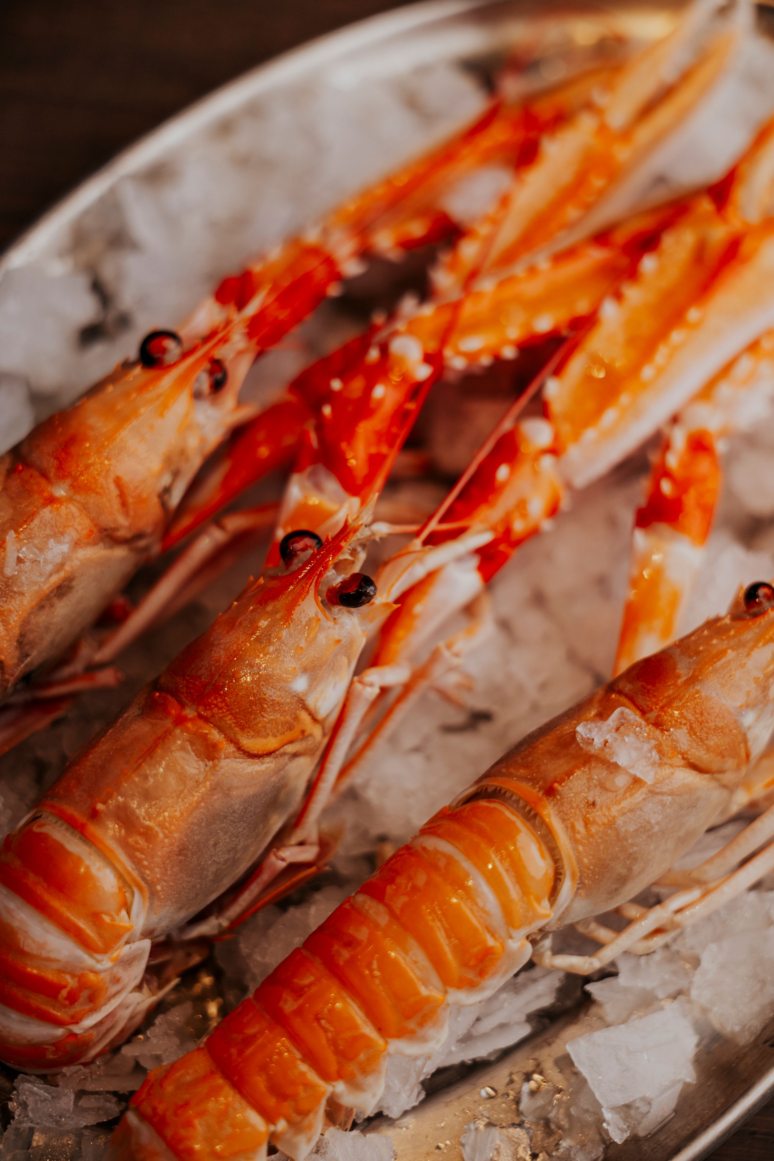 Fresh red prawns lined up on ice, showcasing their vibrant color and presentation.