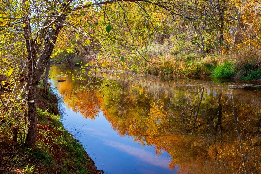Autumn trees reflect in calm river water creating mirror-like golden reflections.