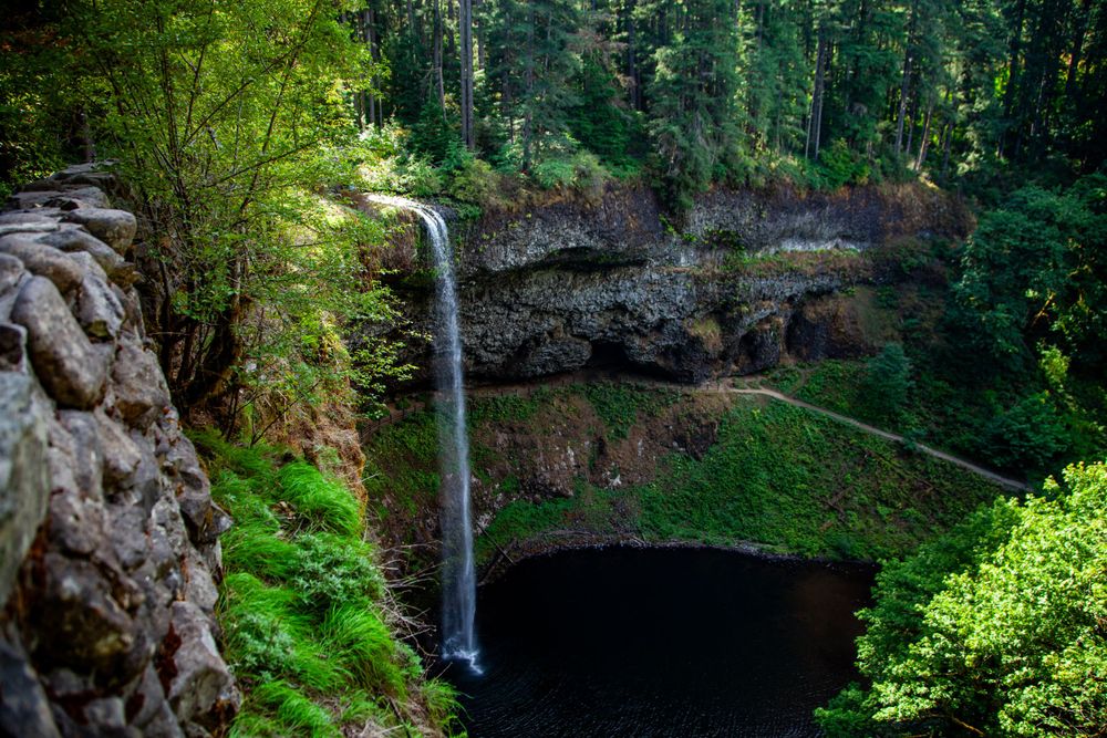Tall waterfall cascades down moss-covered cliffs in lush green forest.