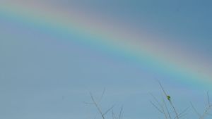 A faint rainbow arcs across a pale blue sky with delicate grass silhouettes in the foreground.