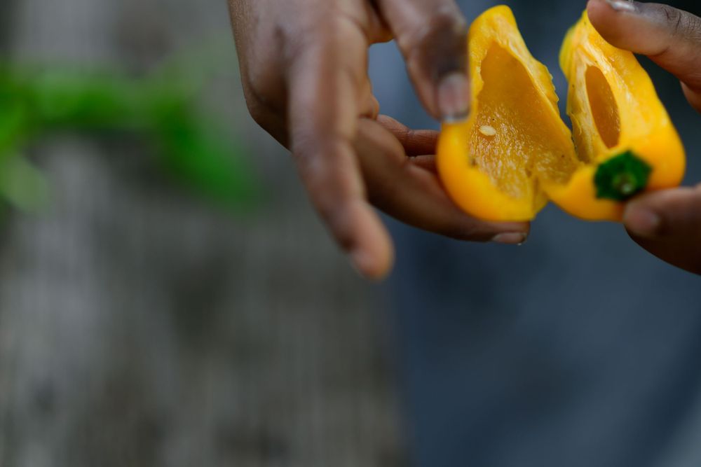 Hands holding sliced yellow bell peppers in a close-up shot.
