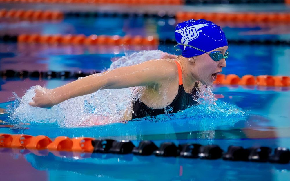 Lower Dauphin swimmer in blue cap racing butterfly during Senior Night celebration.