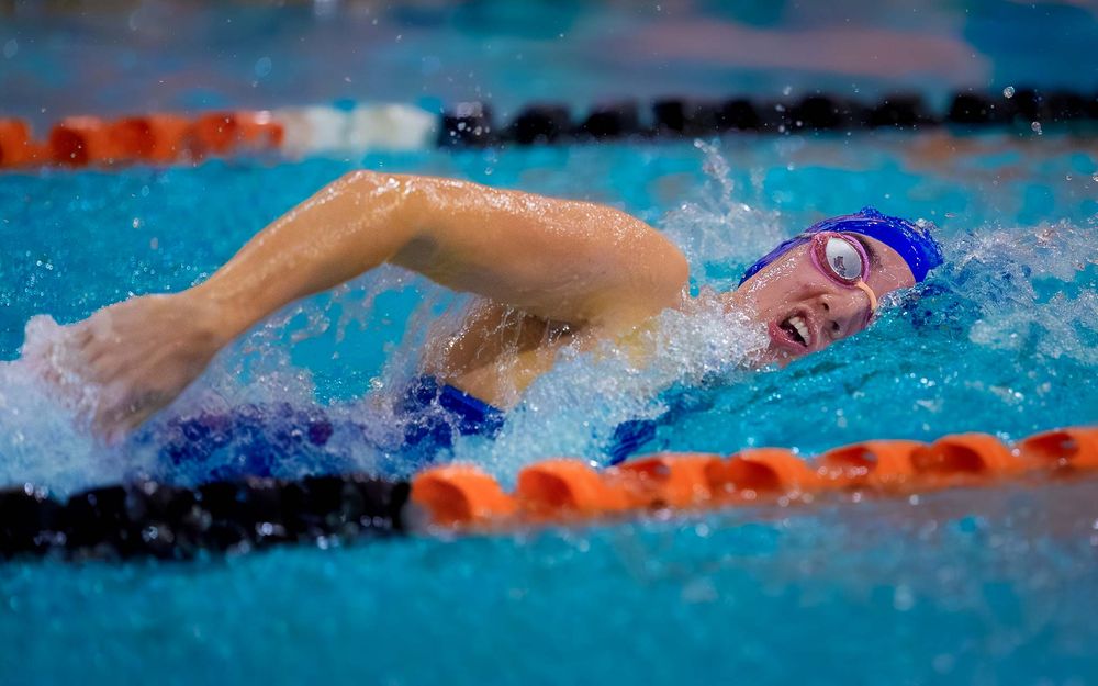 Lower Dauphin swimmer in blue cap swimming freestyle, head above water, during Senior Night meet.