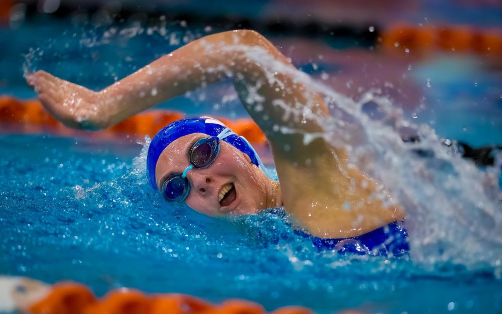 Lower Dauphin swimmer in blue cap swimming freestyle, head above water, during Senior Night meet.