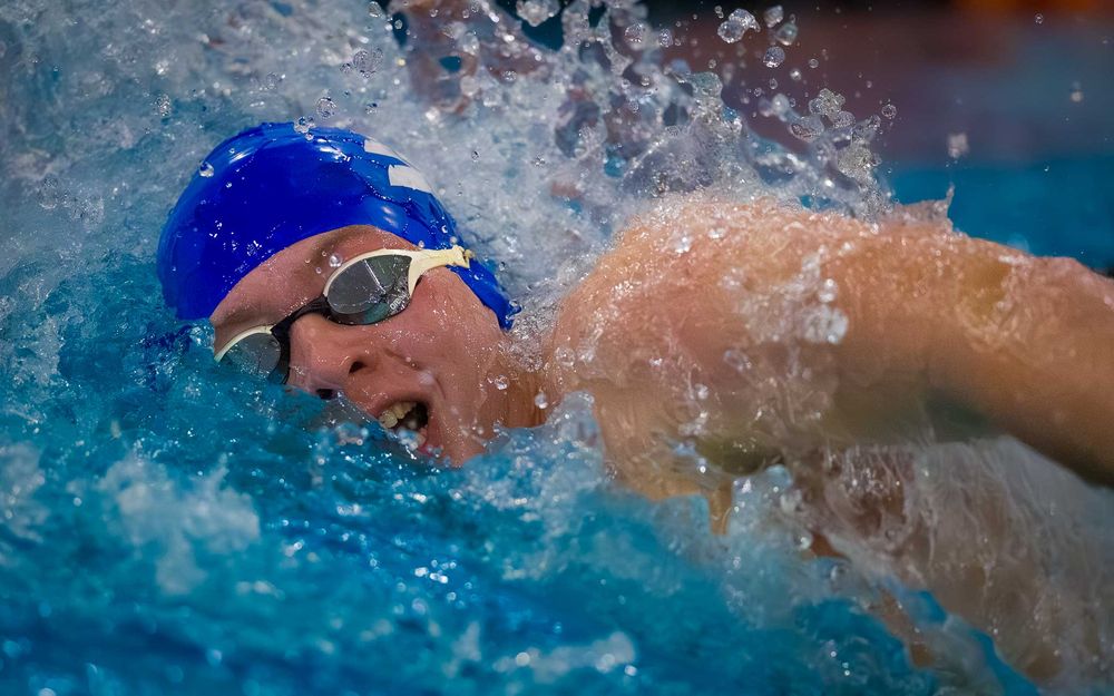 Lower Dauphin swimmer in blue cap competing in freestyle, water splashing, at Senior Night.
