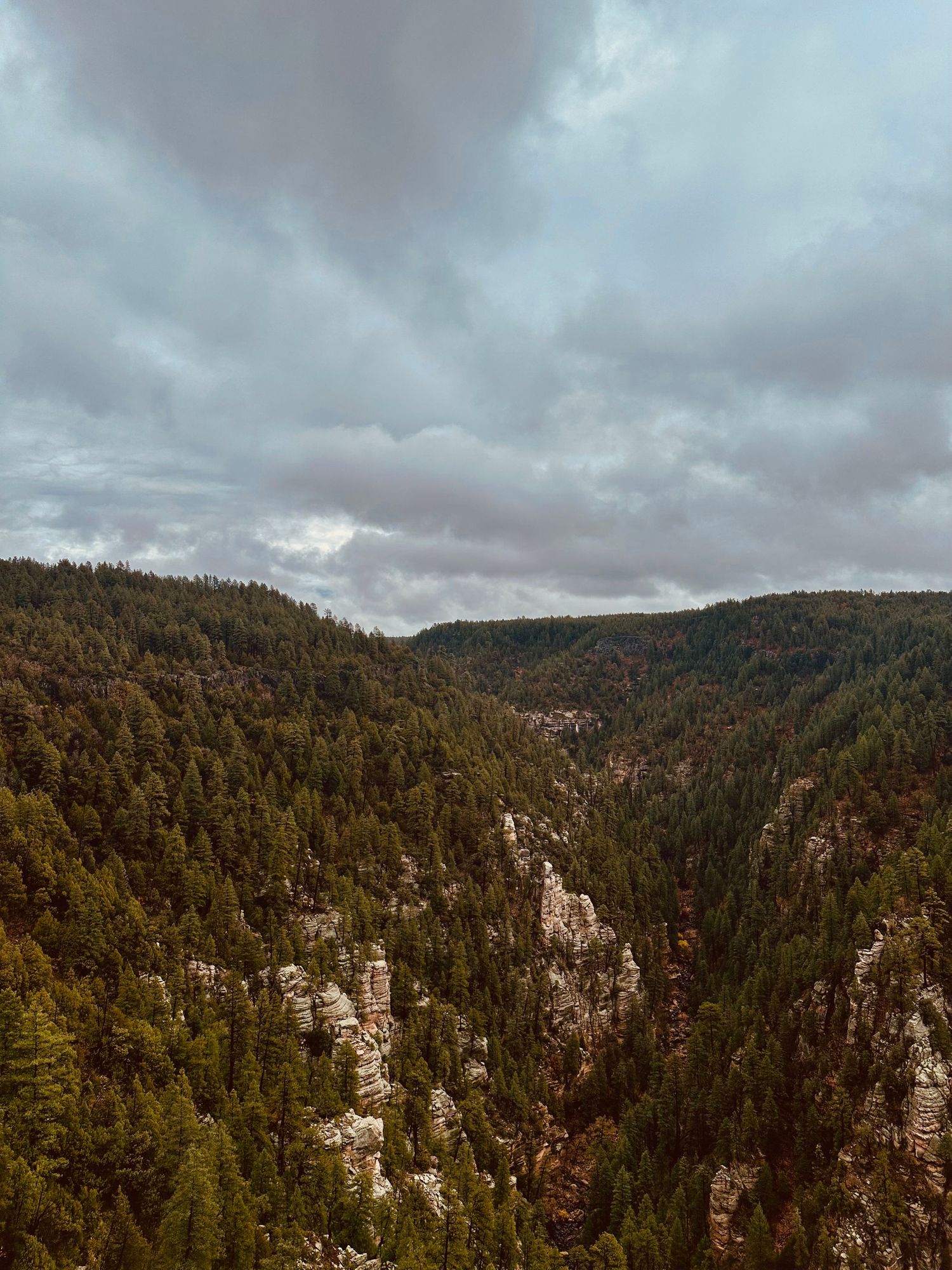 Oak Creek Canyon