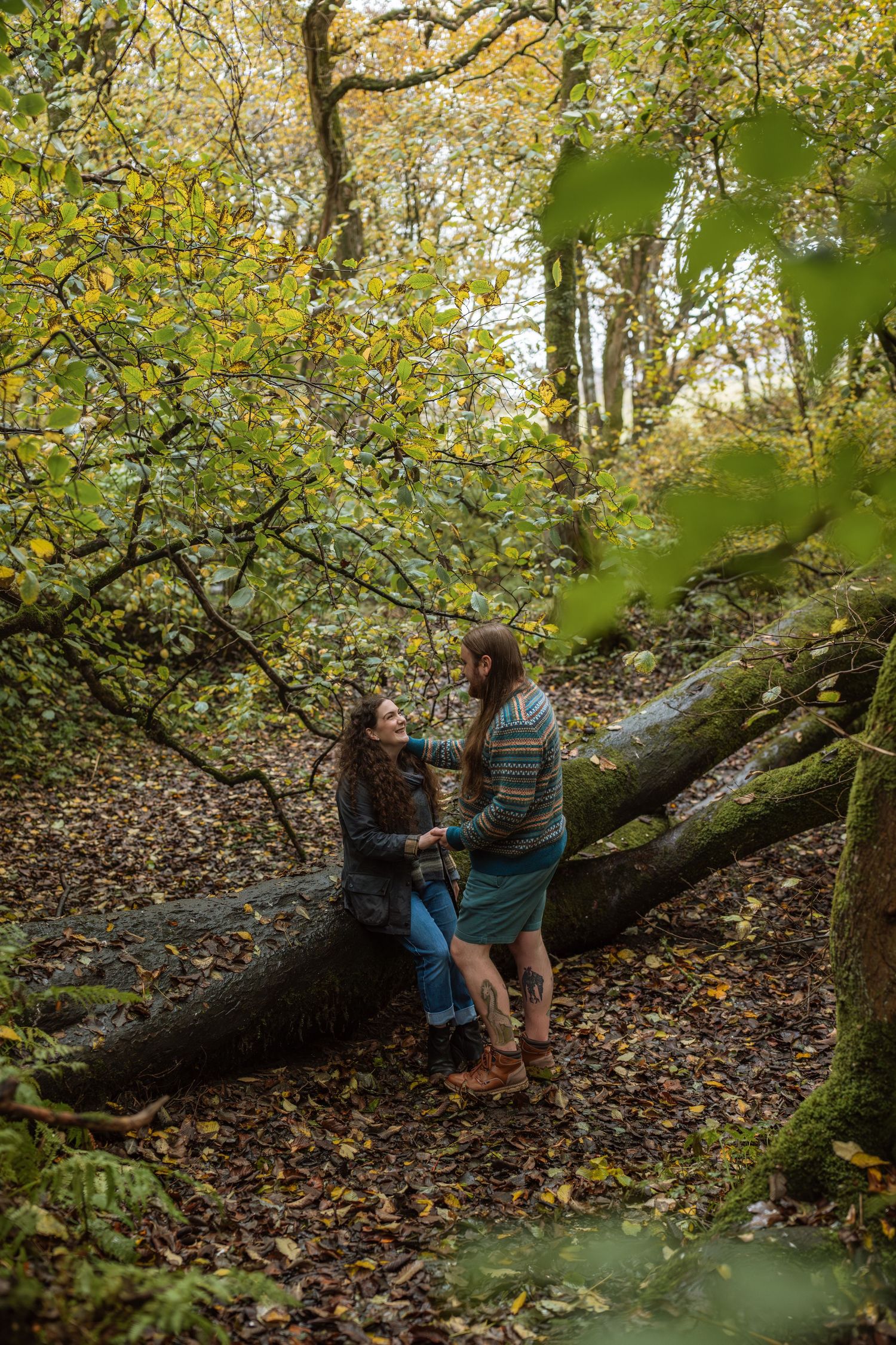 Two people sit together on a fallen tree trunk in an autumn forest surrounded by golden leaves and dappled sunlight.