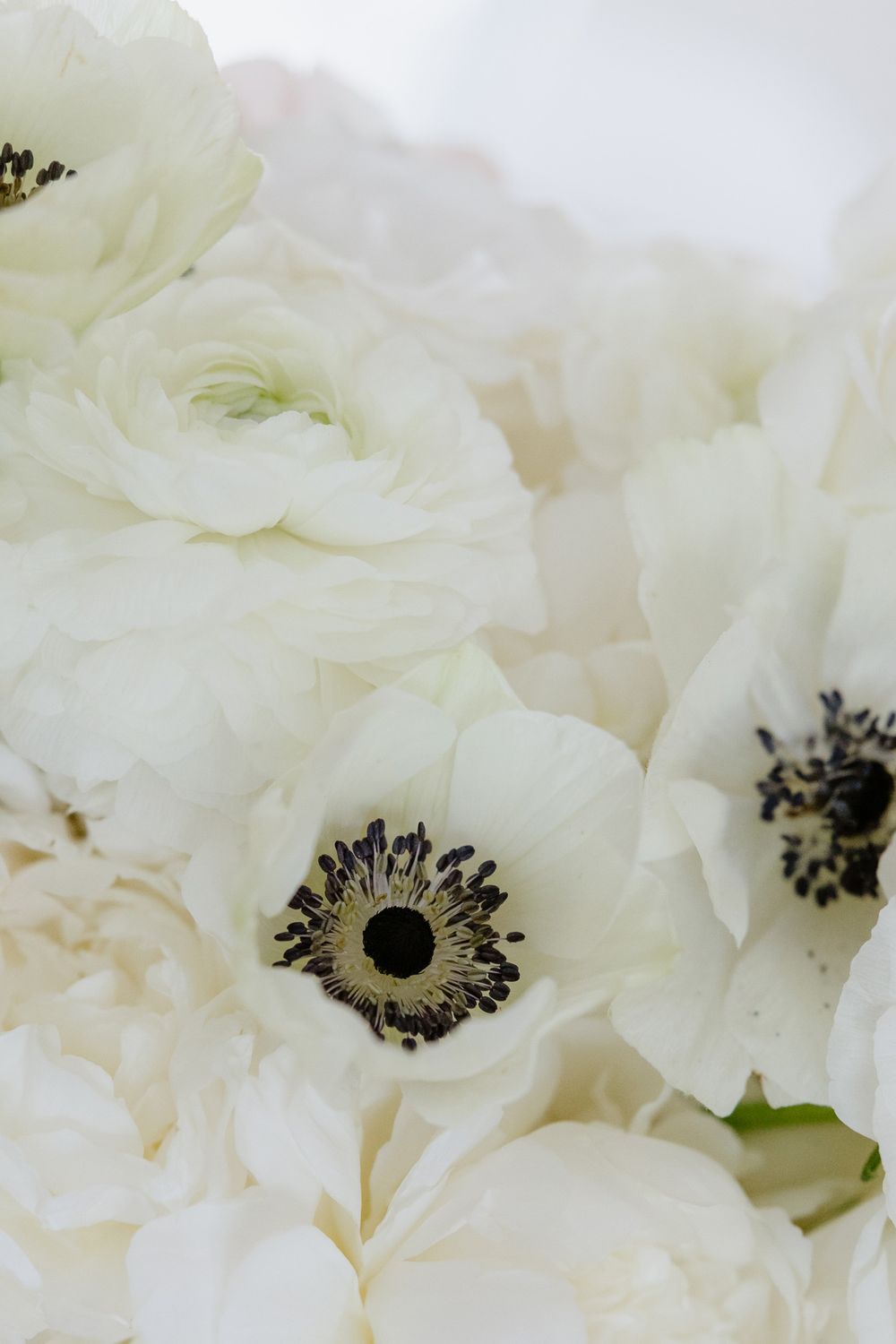 Macro shot of white anemone flowers with dark centers in a delicate bridal bouquet arrangement.