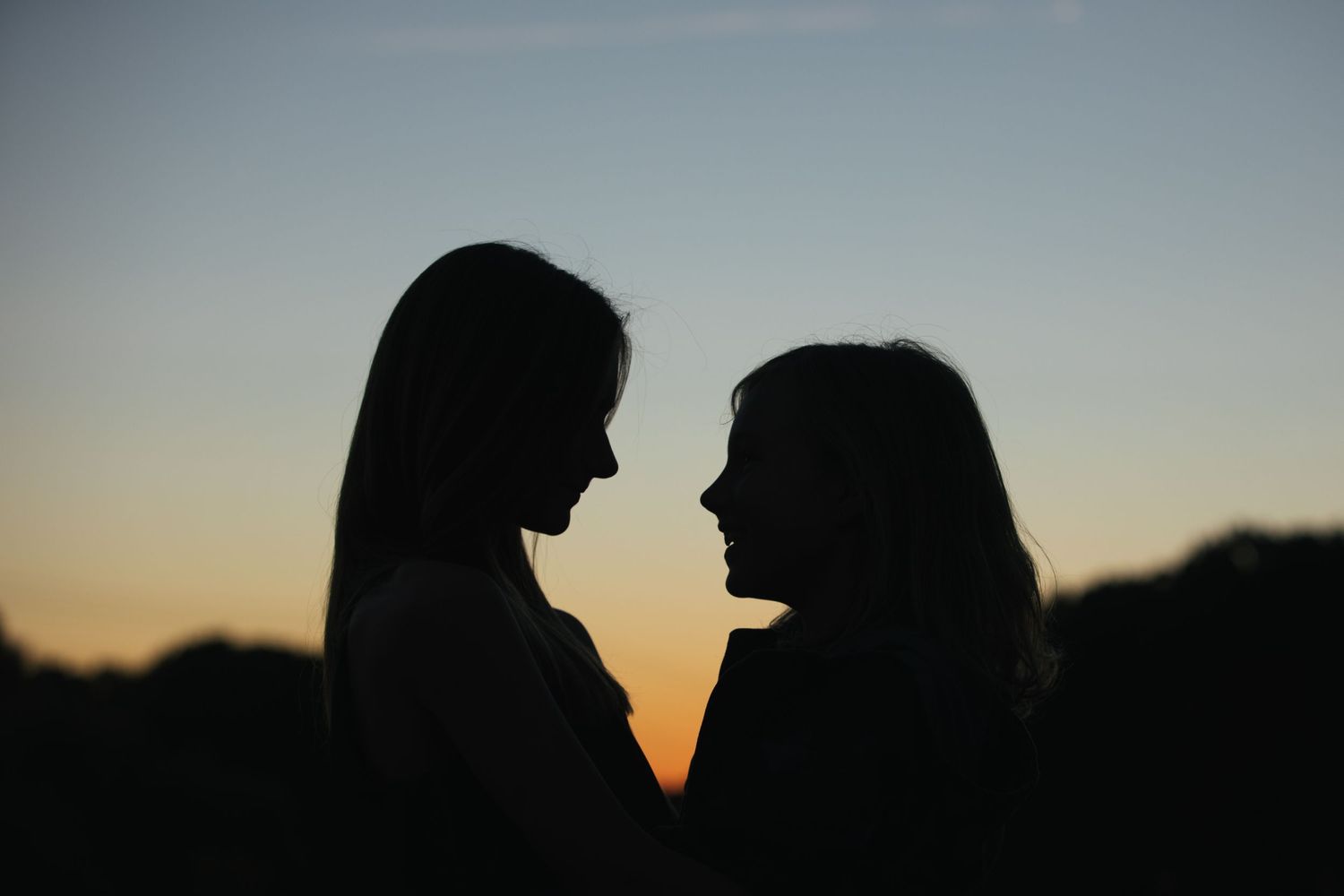 Silhouette of two people facing each other against a sunset sky.