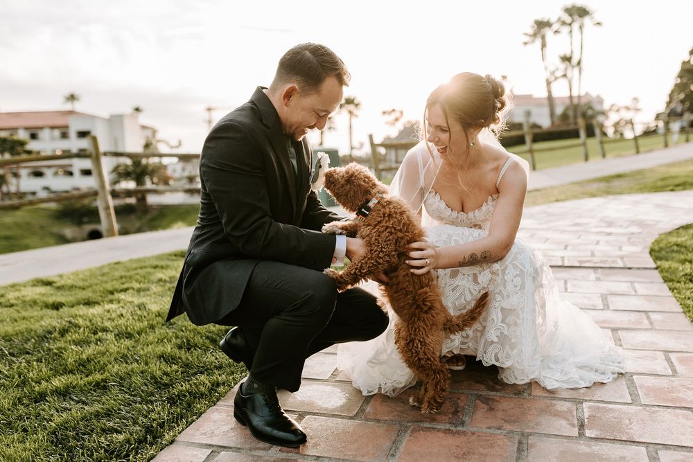 A couple in wedding attire plays with a fluffy brown dog on a stone pathway at sunset at San Clemente Shores.