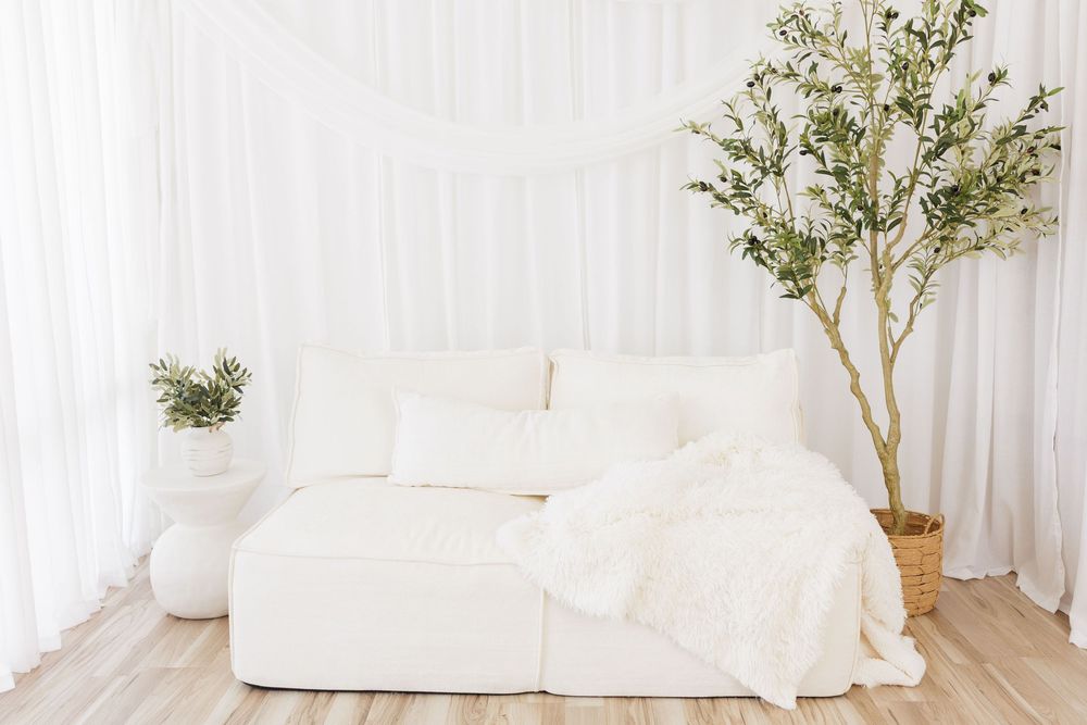 Minimalist white studio with plush sofa, draped curtains, and potted olive tree.