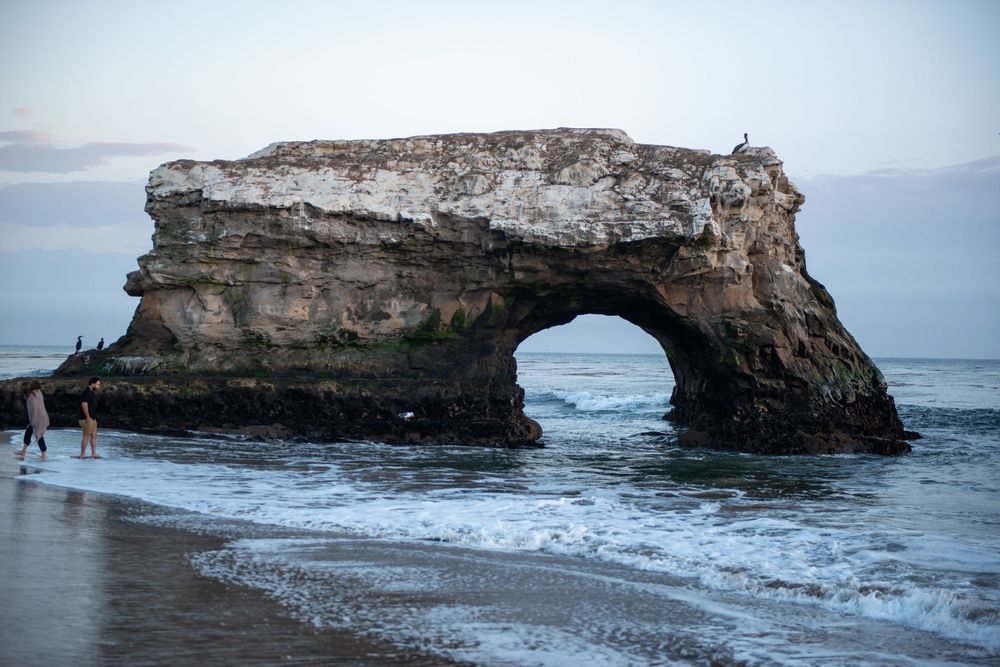 Natural Bridges State Beach in Santa Cruz features dramatic rock formations and arches along the Pacific coastline.