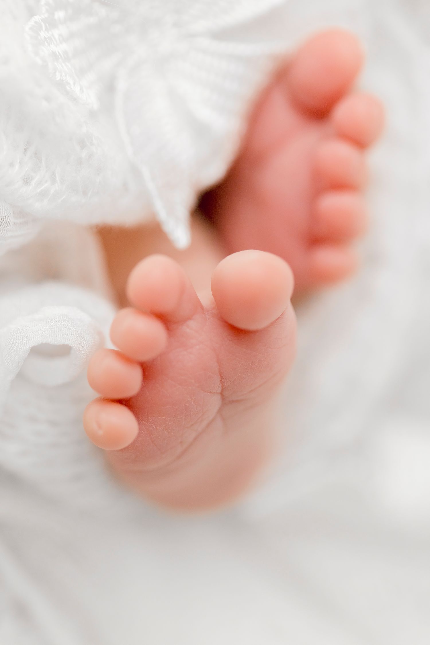 Close-up view of tiny newborn baby toes and feet wrapped in soft white blanket.