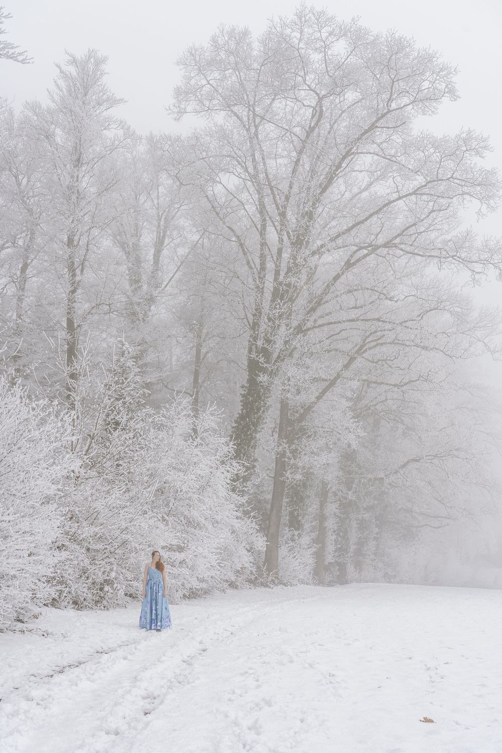 A creative shoot in the snow covered woodland in Rüti, Zürich.