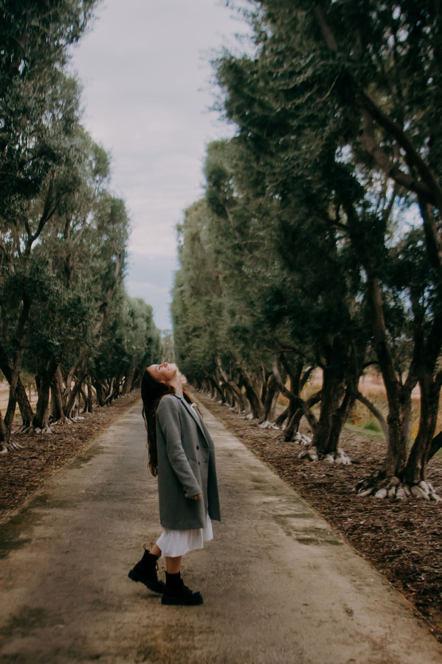 Young woman in gray coat looking up while standing on tree-lined path on cloudy day.