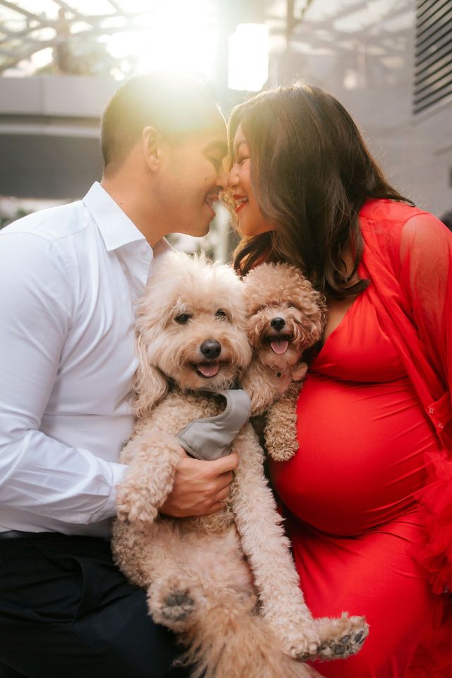 A couple in white and red outfits cuddle with their fluffy white dogs during a romantic photoshoot.