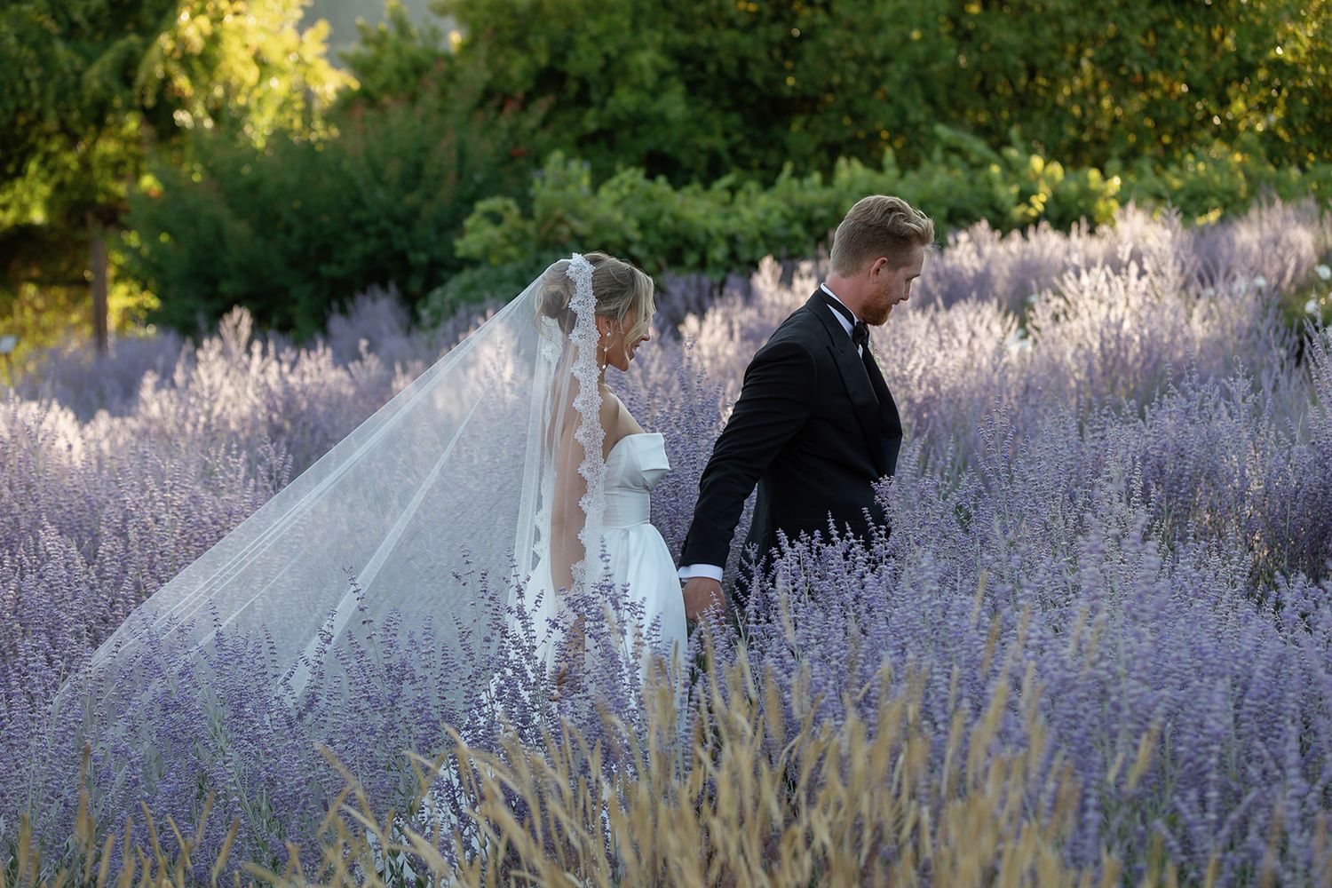 Bride and groom walking in the lavender garden at Bernardus Lodge in Carmel Valley