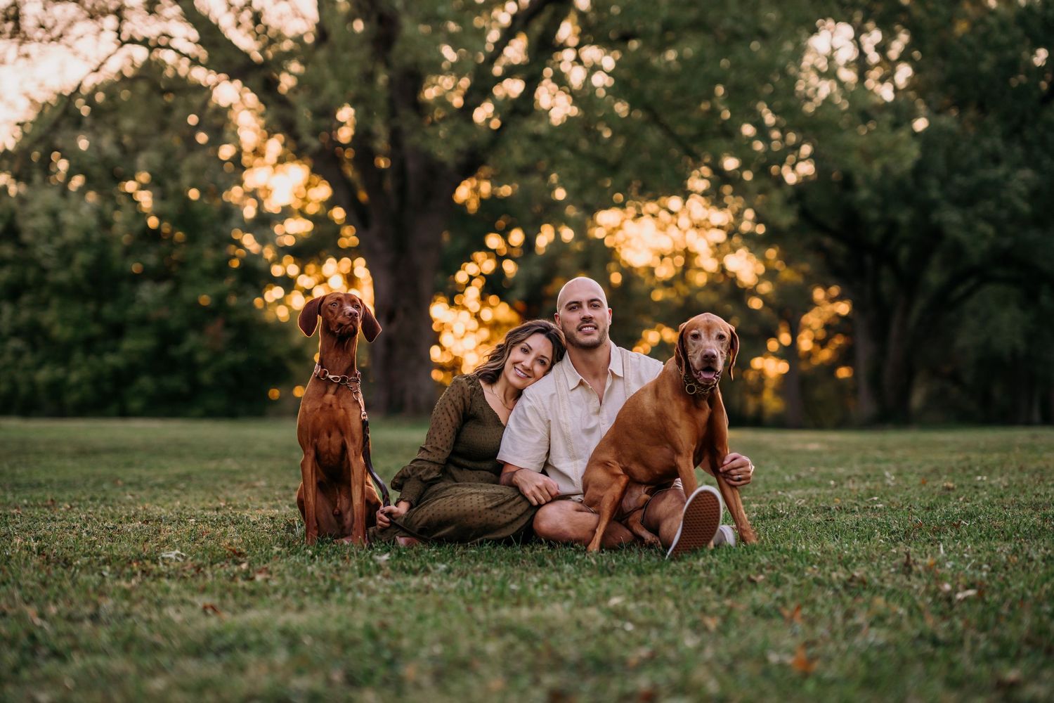 A vizla dog and a couple enjoy a sunset moment together on a grassy hill in a park setting. Cincinnati pet photography. Family photographer.