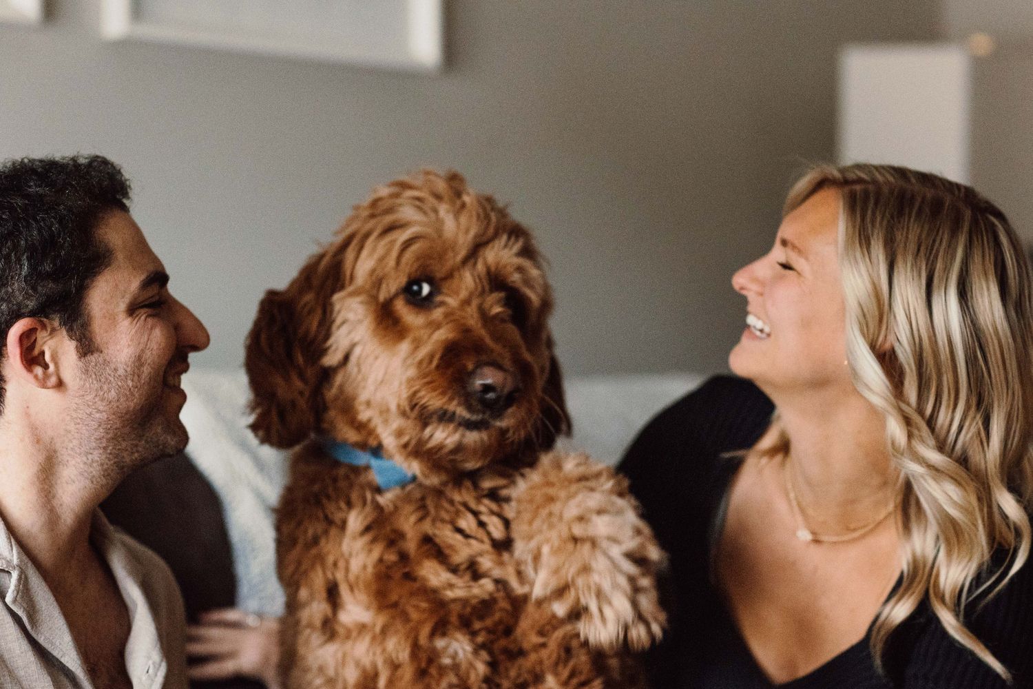 A person and their golden doodle dog share joyful laughter together in a candid moment.
