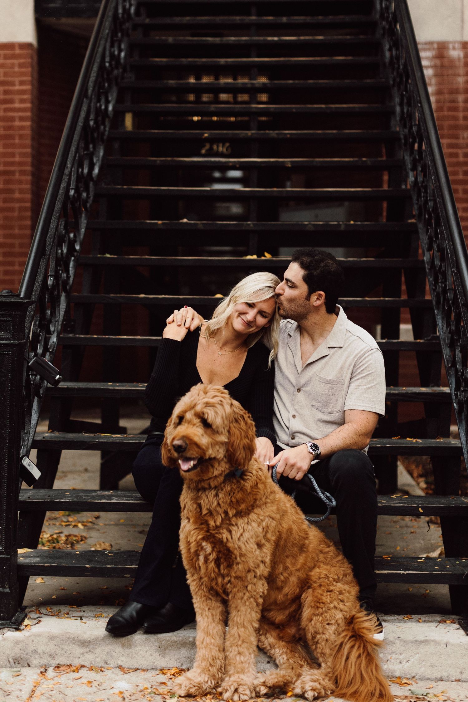 A goldendoodle dog sits with companions on outdoor brick steps in an urban setting.
