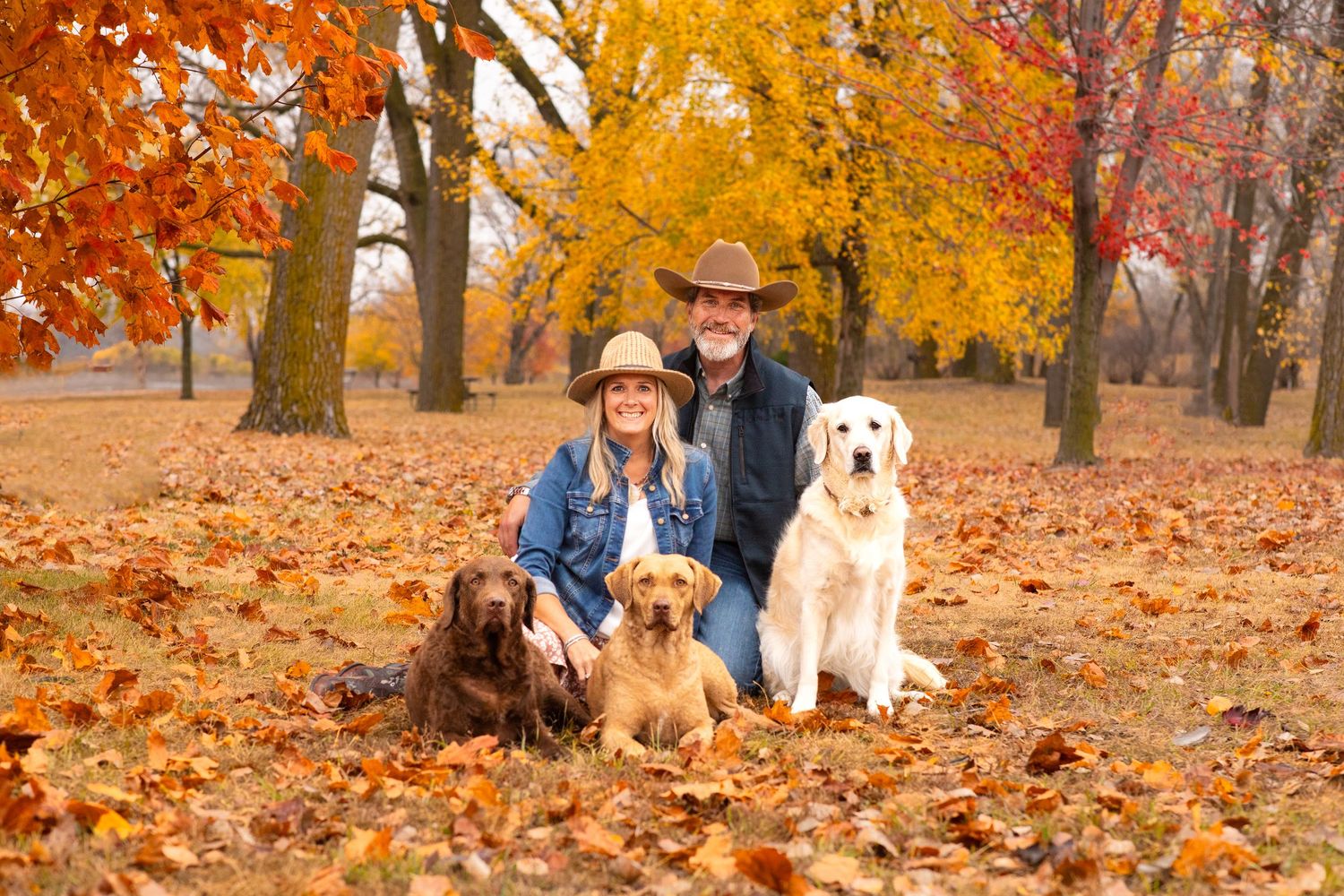 A couple and three golden retrievers sit together on fallen autumn leaves in a park surrounded by colorful fall foliage.