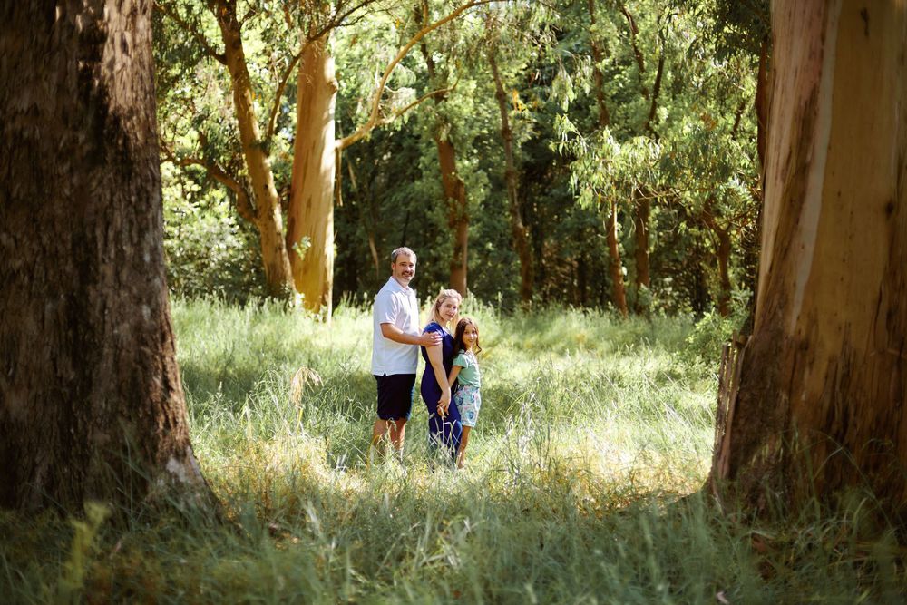 Couple standing hand in hand in a serene woodland clearing with tall trees and green grass.