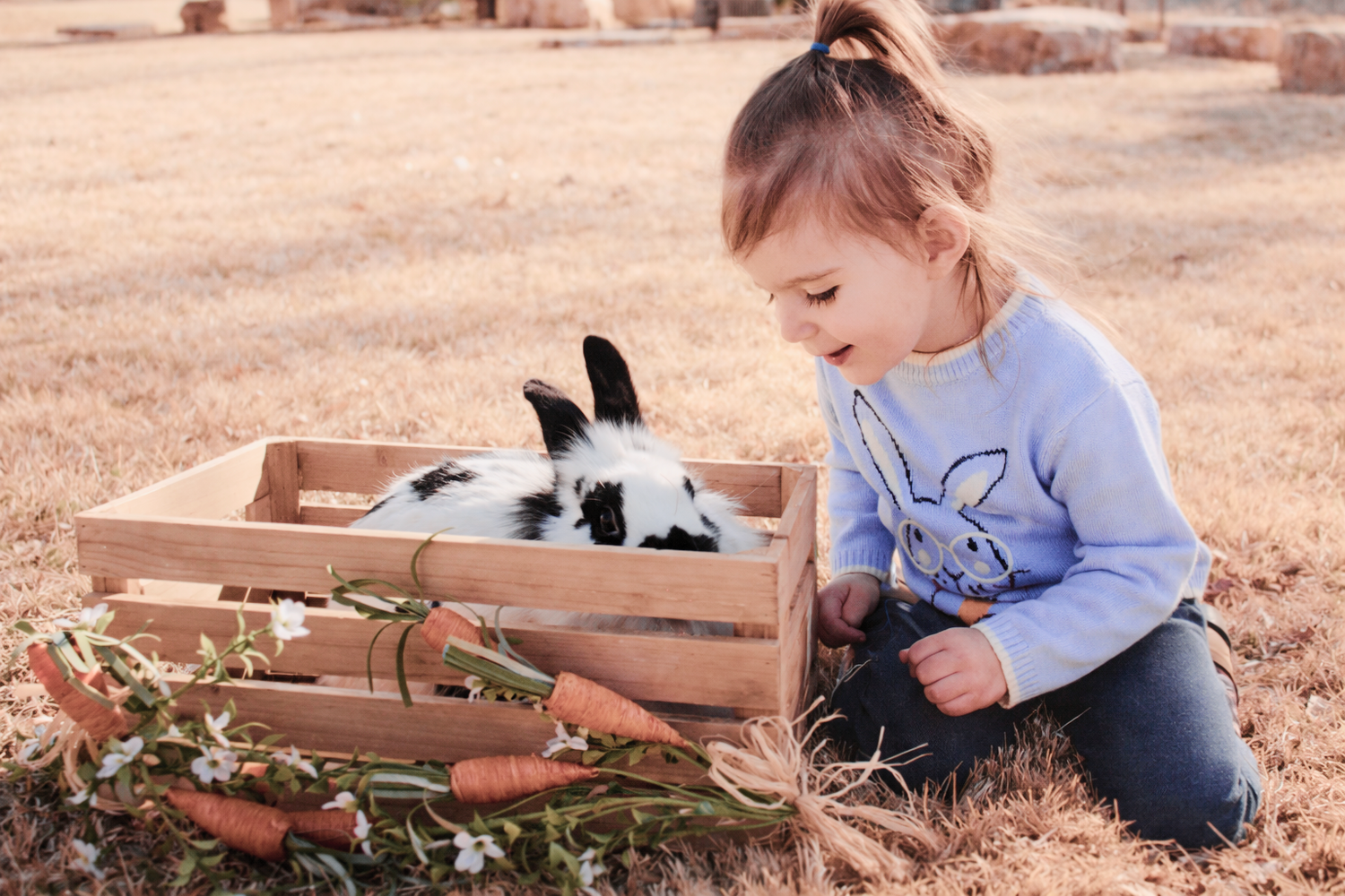 child in a field observing a bunny in a crate