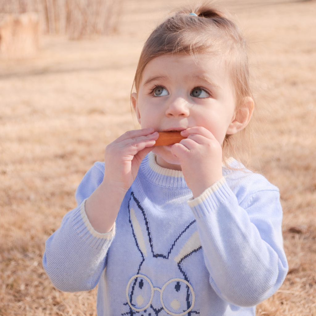 child in field holding a carrot to mouth