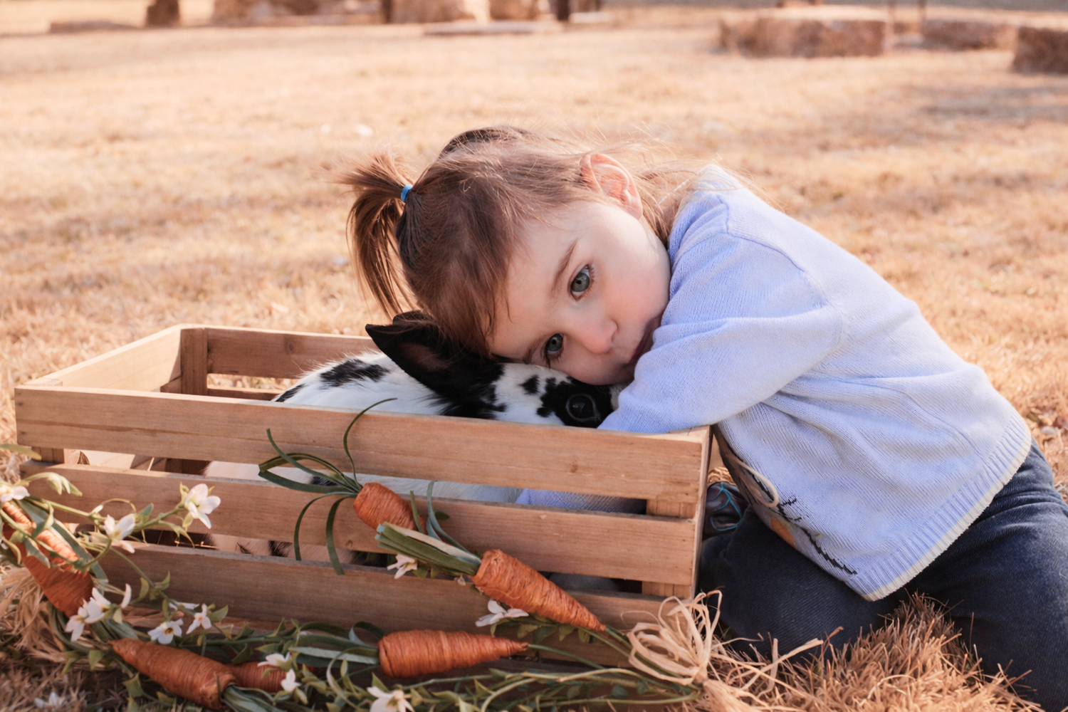 child sitting in field hugging bunny in crate