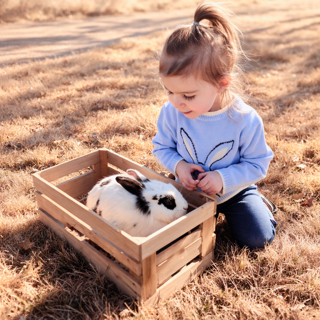 child in a field observing a bunny in a crate