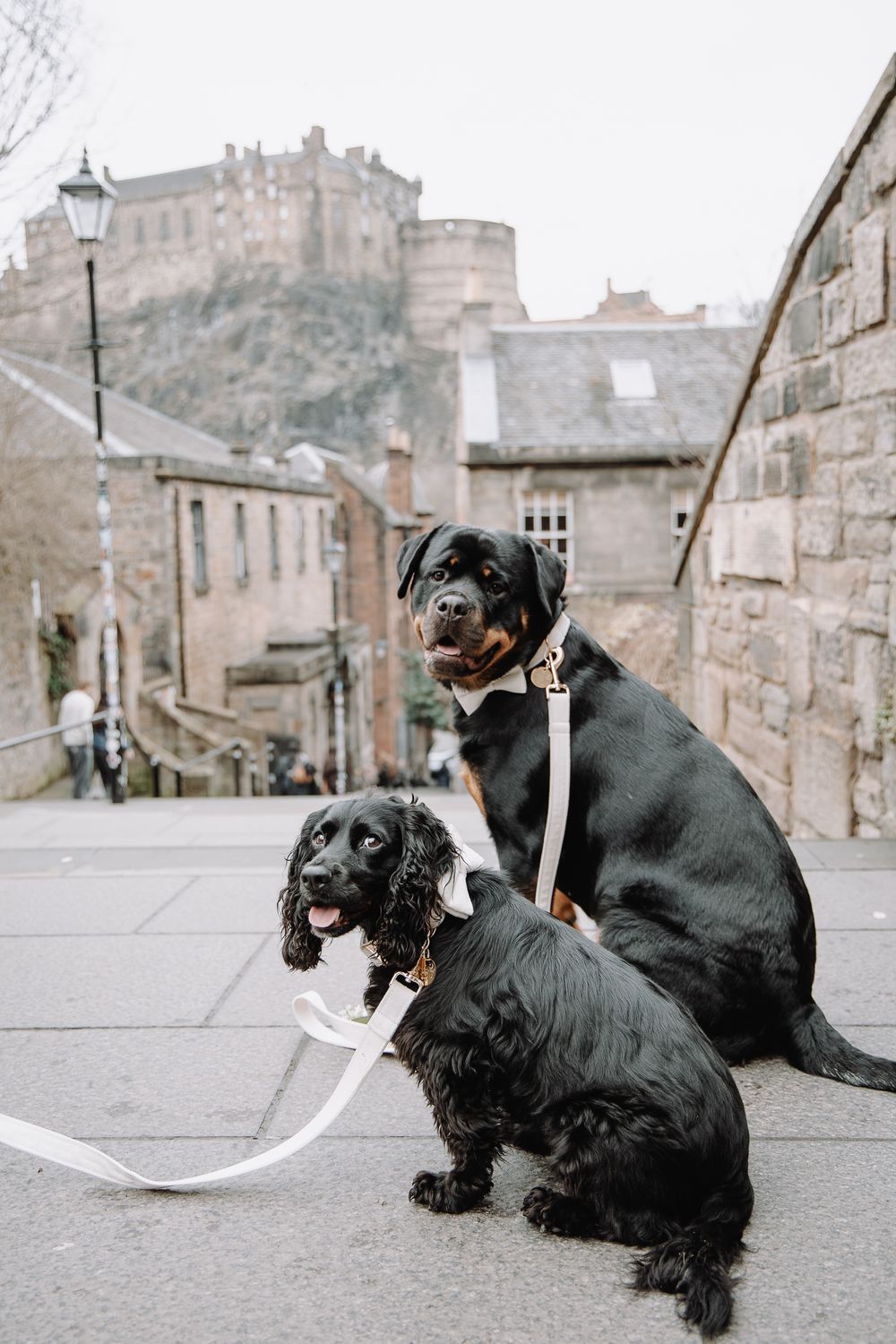 Two black dogs on white leashes pose on cobblestone street with Edinburgh Castle backdrop.